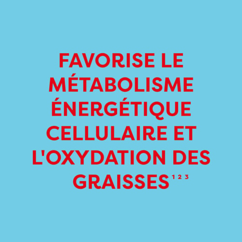 Acétyl-L-Carnitine 1000mg 60 gélules (4)