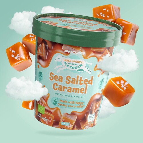 Glace Bio Caramel au Beurre Salé avec Morceaux de Chocolat Holy Jersey 450 mL