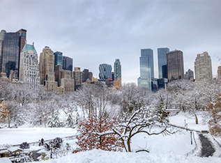 New York Christmas Recipes