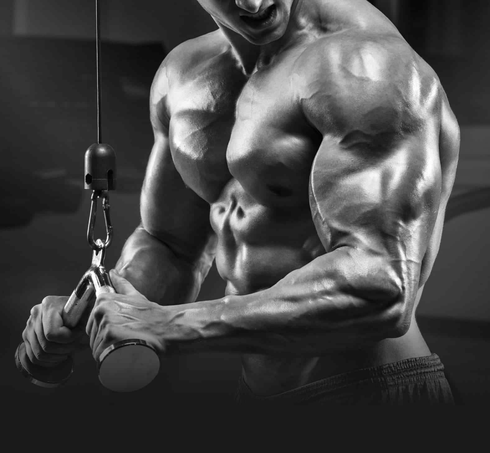 Xcore Amino Recovery Xcore Amino Recovery