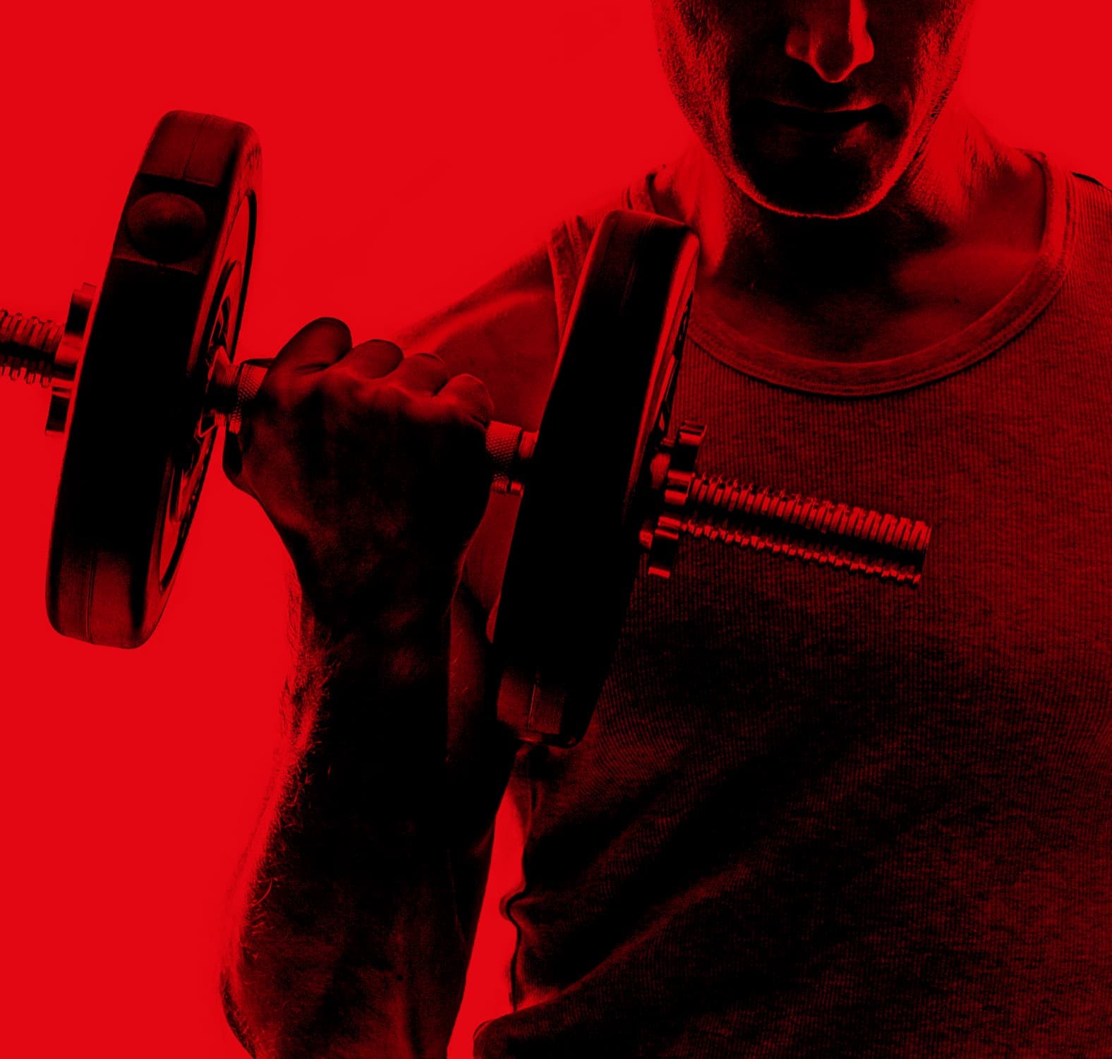 Prozis training exceed yourself Prozis training