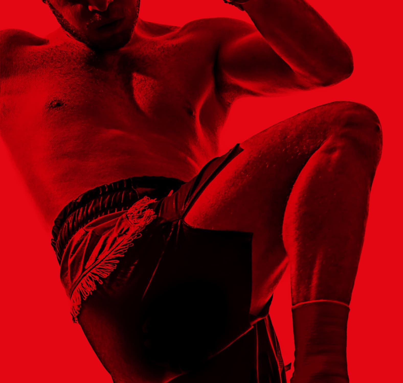 Prozis training exceed yourself Prozis training