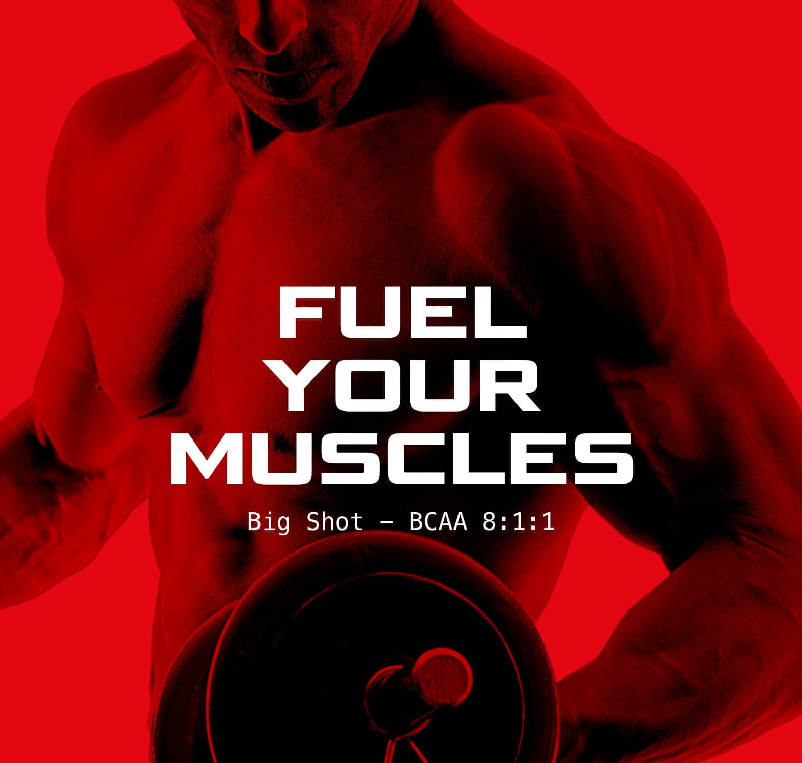 Prozis training exceed yourself Prozis training
