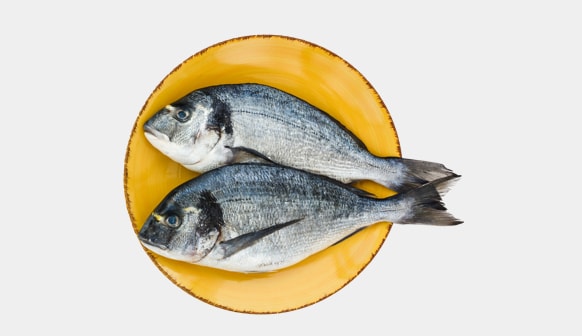 Fish Oil ingredients Fish Oil ingredients