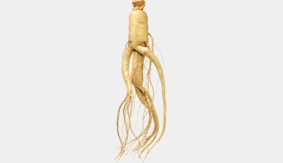 Ginseng ingredients Ginseng ingredients