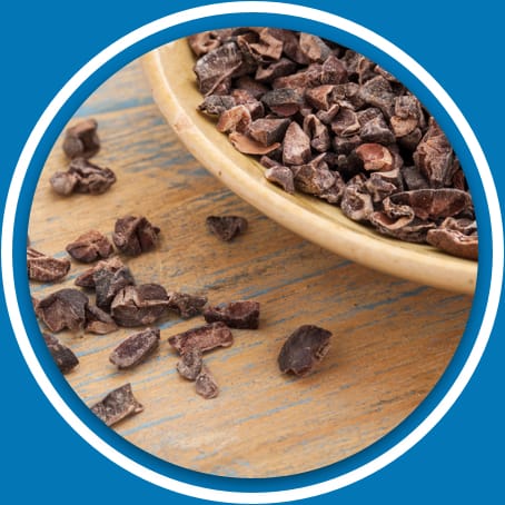 Prozis Organic Cacao Nibs Organic Cacao Nibs