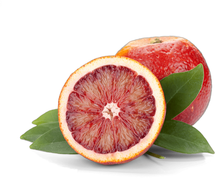 XCore Flavour Blood Orange XCore Flavour Blood Orange