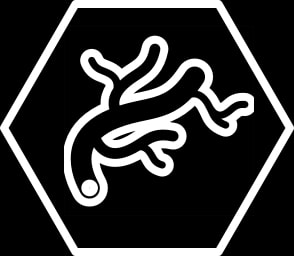 Xcore icon Xcore icon
