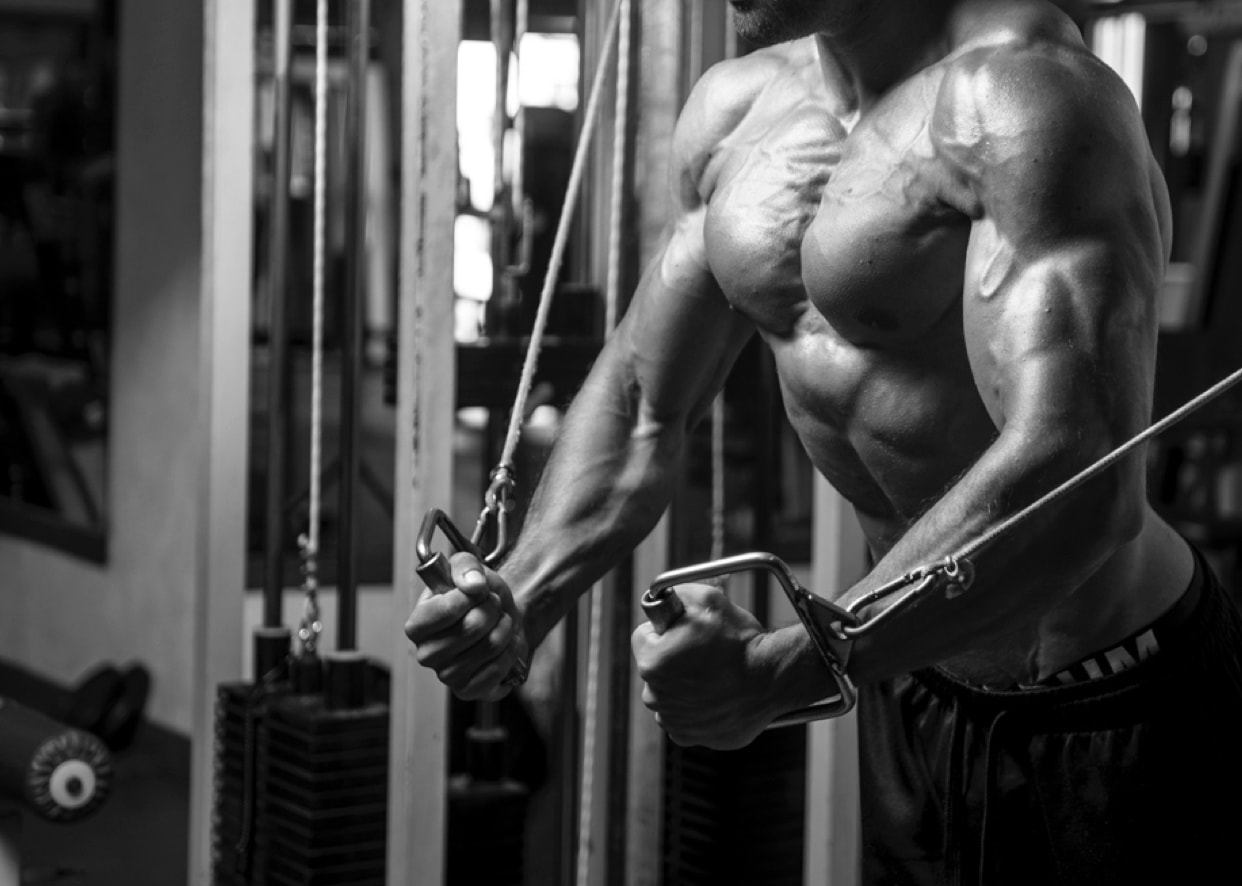 XCore Training