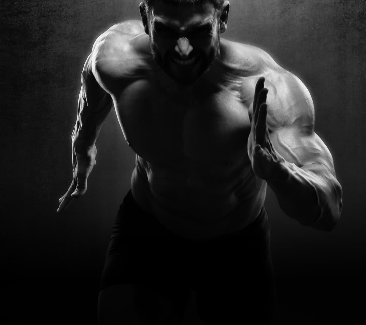 Xcore Muscle