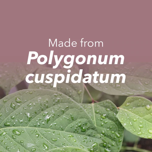 Resveratrol 150mg 60 caps (8)