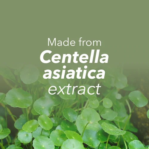 Gotu Kola (Centella asiatica) 900 mg 90 capsules (8)