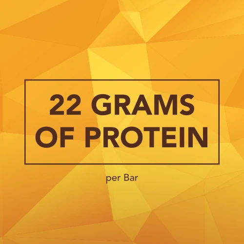 Protein Gourmet Bar 12 ct Chocolate & Hazelnuts (6)