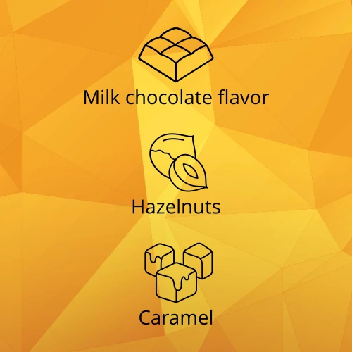 Protein Gourmet Bar 12 ct Chocolate & Hazelnuts (7)