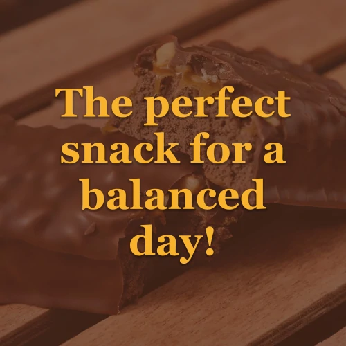 Protein Gourmet Bar 12 ct Chocolate & Hazelnuts (9)