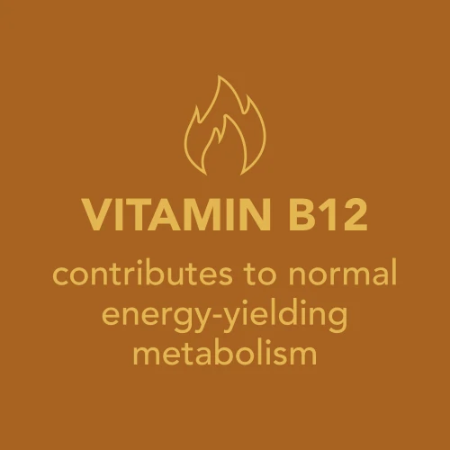 H2O Burn - 8 sticks (9)