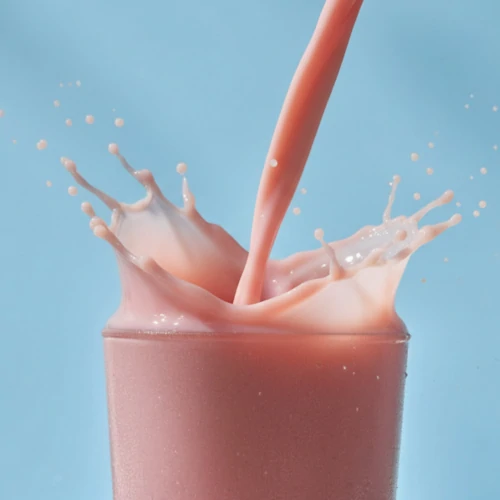 Yogo Whey - High-Protein Shake 15 servings (2)