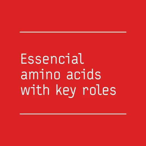 Zero EAAs 20 servings (10)