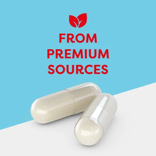 L-Carnitin 1500 mg 60 Kapseln (2)