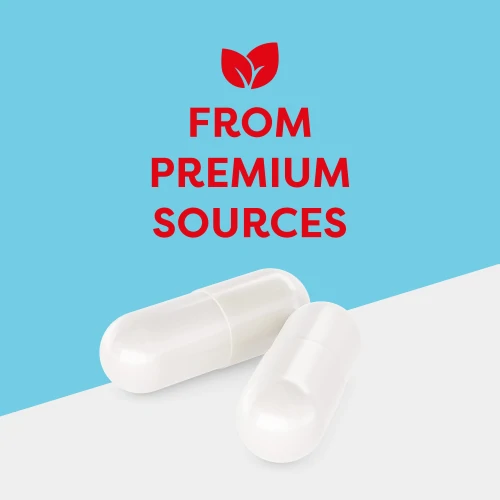 Acetyl-L-Carnitin 1000 mg 60 Kapseln (2)