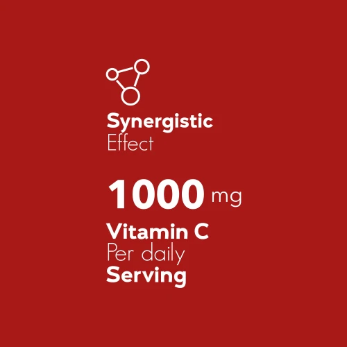 Vitamin C 500mg + Rose Hip 180 tabs (6)