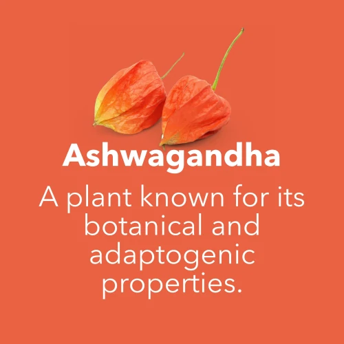 Extrait d'Ashwagandha 450 mg 90 gélules végétariennes (7)