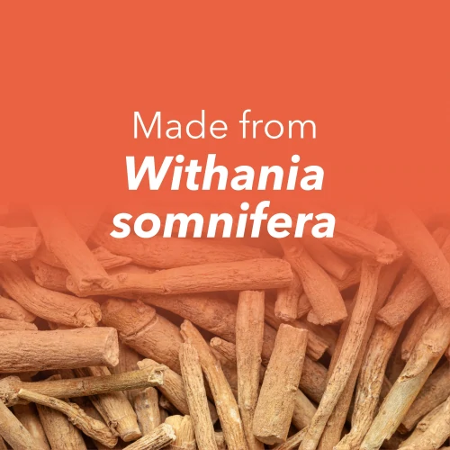Extrait d'Ashwagandha 450 mg 90 gélules végétariennes (8)