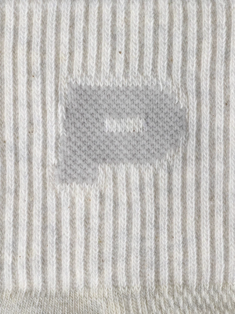 GymPro Ankle Socks (8)