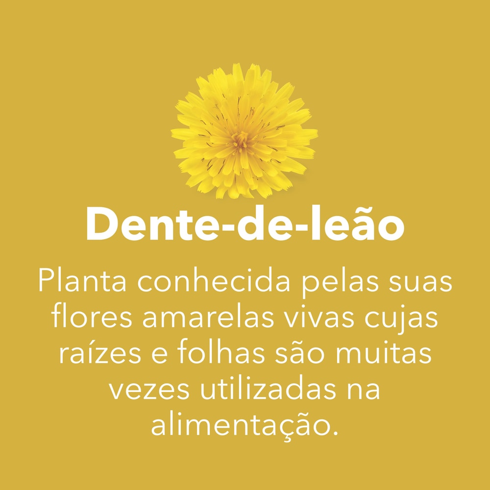 Prozis – Loja Oficial | Exceed Yourself!