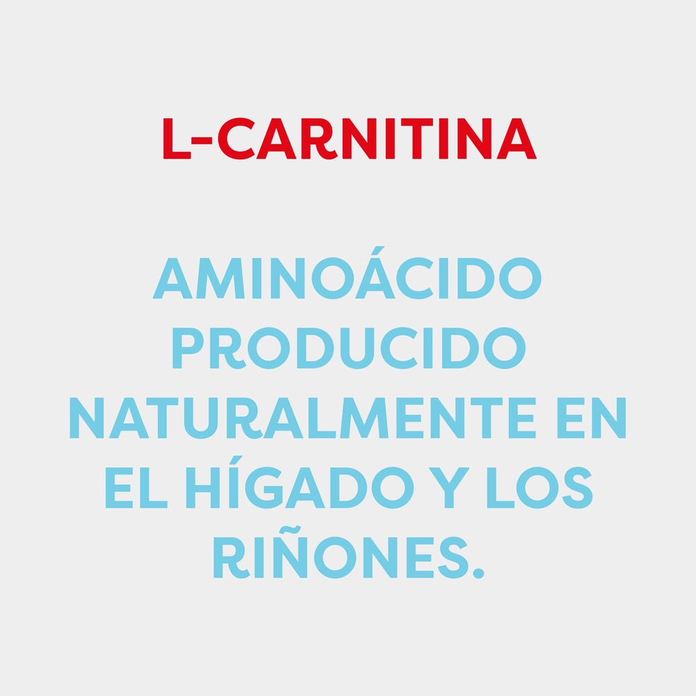 andrew lessman acetyl l carnitine Beneficios de la L-Carnitina main image 0