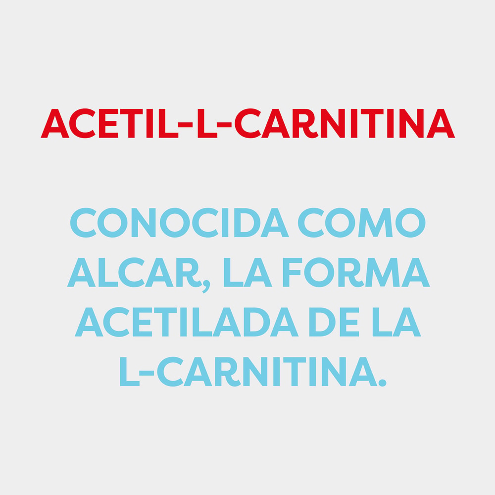 acetil l carnitina dosi Acetil-L-Carnitina 1000 mg 60 cápsulas Rigor Mortis , ----, STRENGTH:Elite كريم يساعد في شد البشرة حول العين