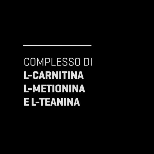 Acetil-L-Carnitina 90 capsule (3)