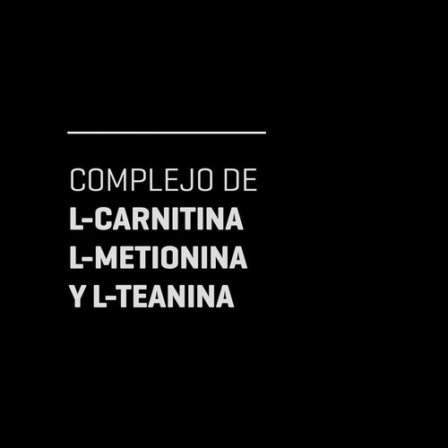 Acetil-L-Carnitina 90 cápsulas (3)
