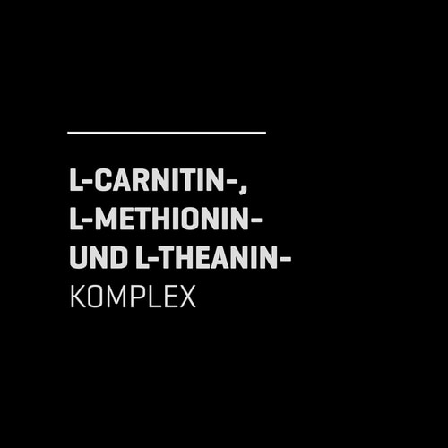 Acetyl L-Carnitin 90 Kapseln (3)