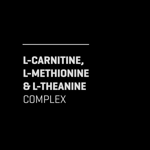 Acetyl L-Carnitine 90 caps (3)