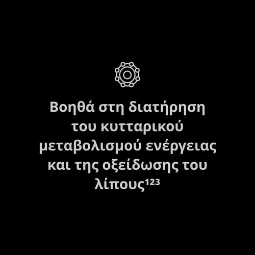 Ακετυλο L-Καρνιτίνη 90 κάψουλες (8)