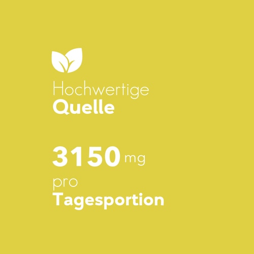 Nachtkerze 3150 mg 60 Weichkapseln (6)