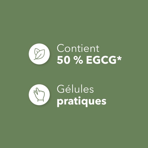 Thé Vert EGCG 600 mg 100 gélules (4)
