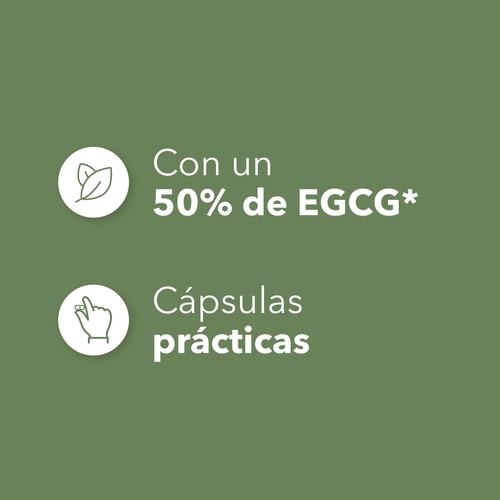 Té verde EGCG 600 mg 100 cápsulas (4)