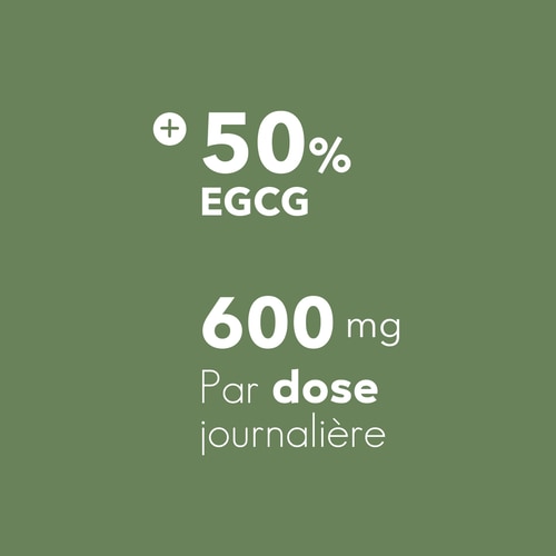 Thé Vert EGCG 600 mg 100 gélules (6)