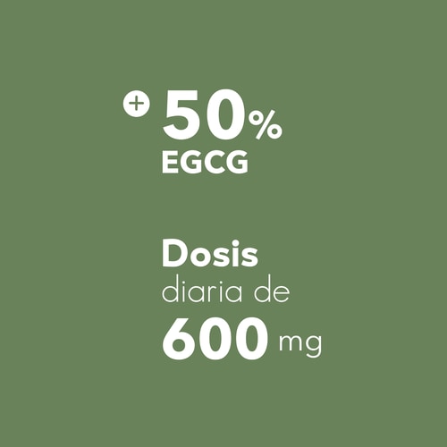 Té verde EGCG 600 mg 100 cápsulas (6)