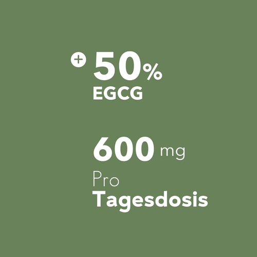 Grüntee EGCG 600 mg 100 Kapseln (6)