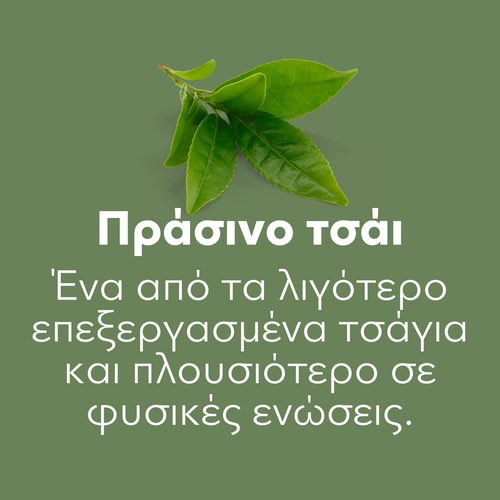 Πράσινο Τσάι EGCG 600mg 100 κάψουλες (7)