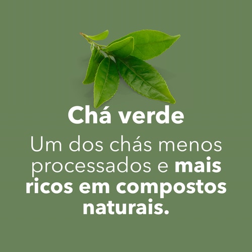 Chá Verde EGCG 600mg 100 cápsulas (7)
