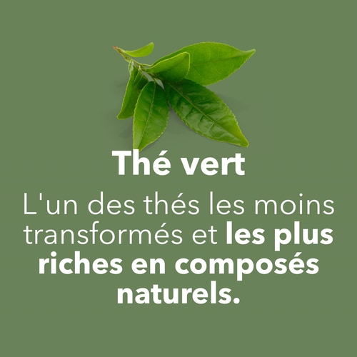 Thé Vert EGCG 600 mg 100 gélules (7)
