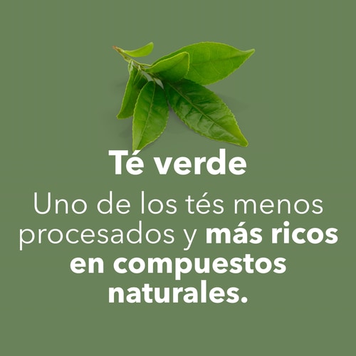 Té verde EGCG 600 mg 100 cápsulas (7)