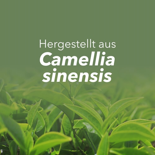 Grüntee EGCG 600 mg 100 Kapseln (8)