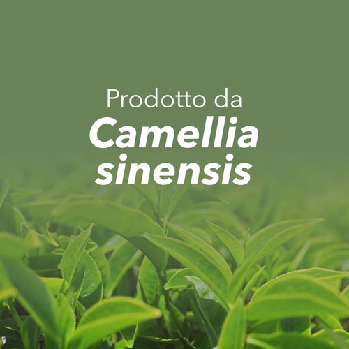 Tè Verde EGCG 600mg 100 capsule (8)