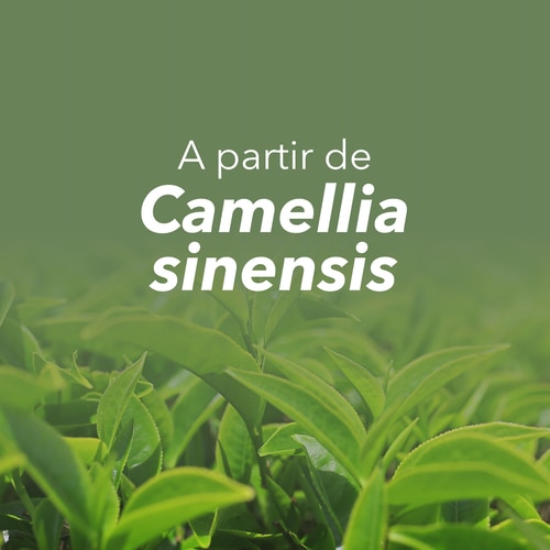 Té verde EGCG 600 mg 100 cápsulas (8)