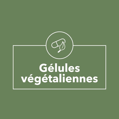 Thé Vert EGCG 600 mg 100 gélules (9)